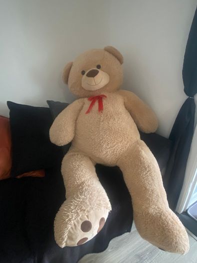 Big teddy