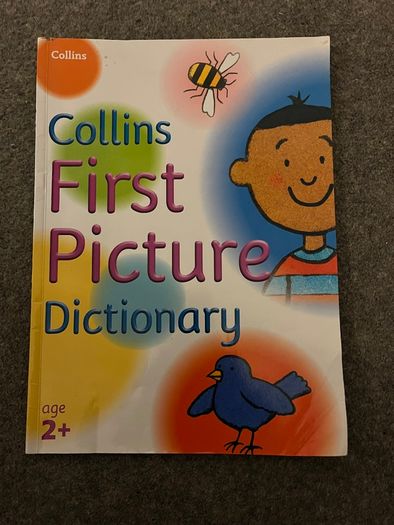 First Picture Dictionary