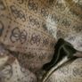 Guess Tote Bag Image 4