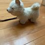 Generation doll Pomeranian Pup Image 2