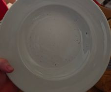 Pasta Bowl