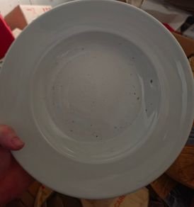 Pasta Bowl