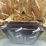 yugioh haunted mines mini box Image 4