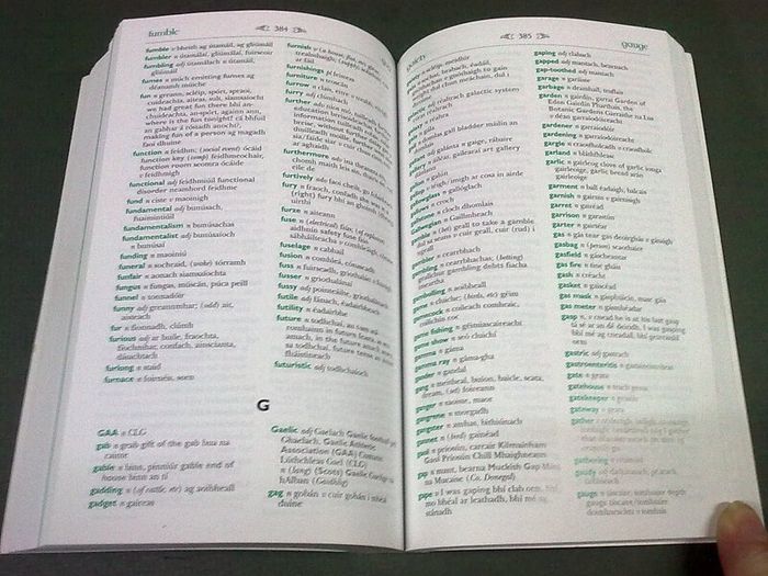 Focloir Irish - English and English - Irish dictionary Ireland Gaeilge