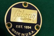 Gibson custom toggle switch cover