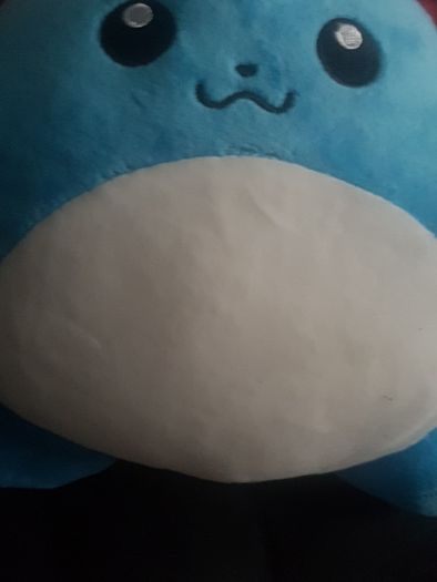 Pokemon Marill 23cm Official tags plush toy 2 for 35 offer