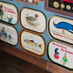 6 x Original Guinness trays