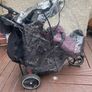 double buggy Image 4