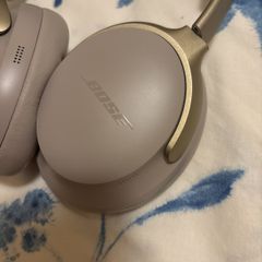Bose ultra noise cancelling earphone gray