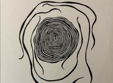 Bleeding Heart Pigeons - Anything You Want EP. Like new. Limerick band. Rare!