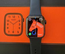 Apple Watch Hermes