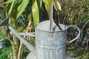 Old Galvanised Watering 2 gal. can