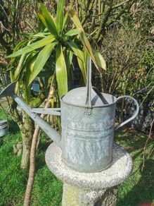 Old Galvanised Watering 2 gal. can