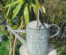Old Galvanised Watering 2 gal. can