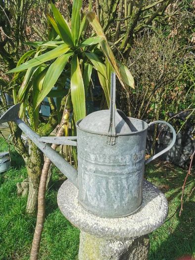 Old Galvanised Watering 2 gal. can