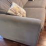 Shanley's Grey Sofa Image 4