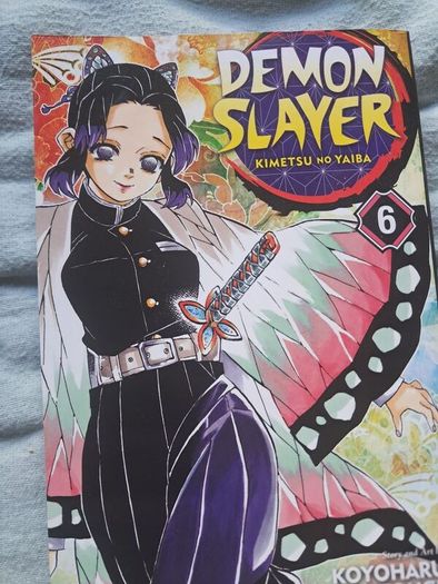 demon slayer vols 1-9