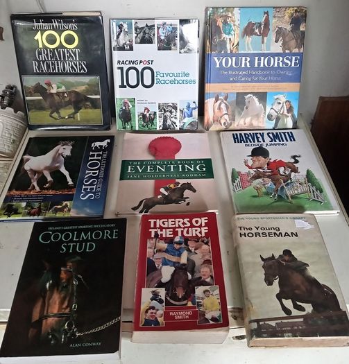 Joblot of Nine Horse and Rider Books
