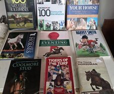 Joblot of Nine Horse and Rider Books