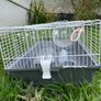 hamster cage and accessories need gone asap Image 2