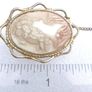 Vintage Gold Plated Shell Ornate Cameo Image 9