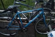 bikes