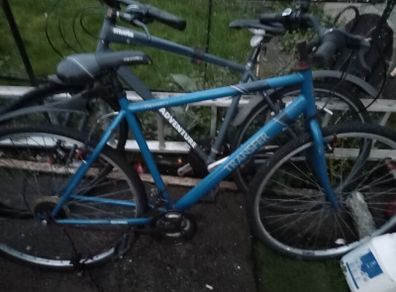 bikes