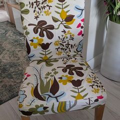 Dining Chairs