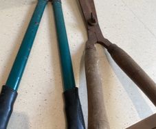shears