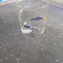 Road Runner Warner Bros Glass animation looney tunes  vintage kids animation Image 6