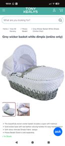 Moses basket
