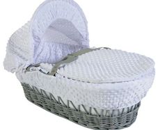Moses basket