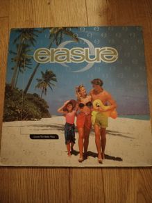 Vinyl erasure I Love To Hate You