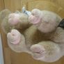 Aurora Classic Pig Plush Soft Toy Realistic Large Beige Stuffed Farm Animal 36cm Image 3