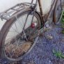 Vintage Bicycles Image 6