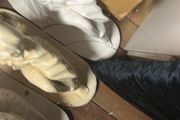 3 ladies need Gone asap 1 cracked on bottom a bit