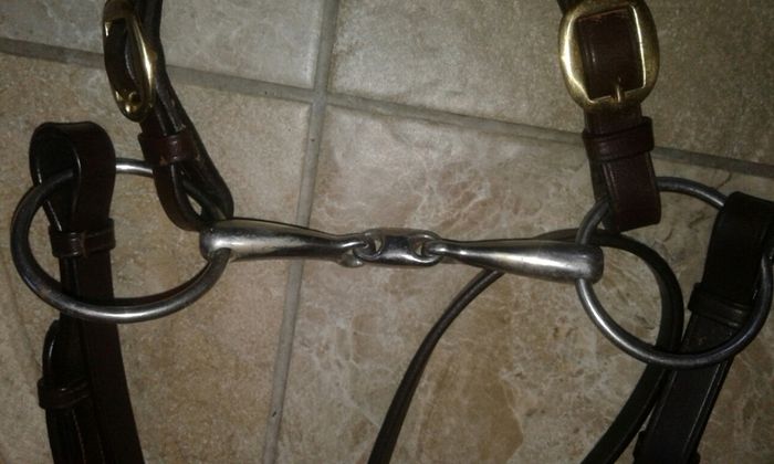 Bridle /bitless