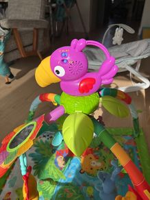 babygym playmat Fisher Price