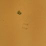 Late Victorian Commode/Seat Image 5
