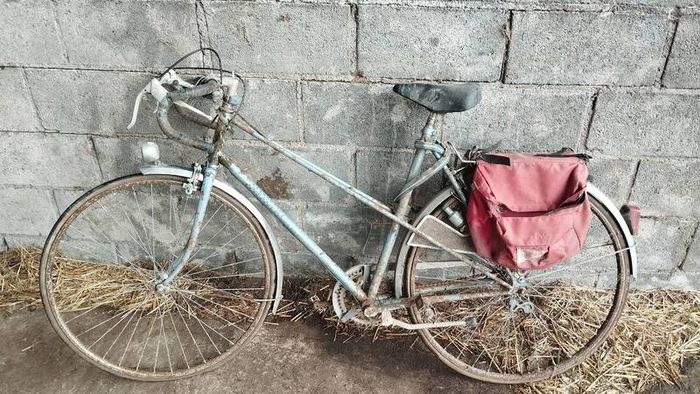 Bike Bundle