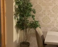 IKEA artificial plant with pot . Like a new