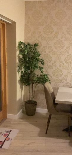 IKEA artificial plant with pot . Like a new