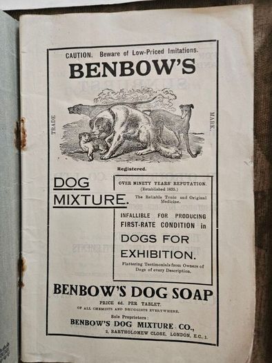 Catalogues Of The 10th & 11th Irish Kennel Club Shows 1931-32. Plus To Stud Cards For Dogs. Paperbacks In Only Fair Condition.  See Photos For Same.