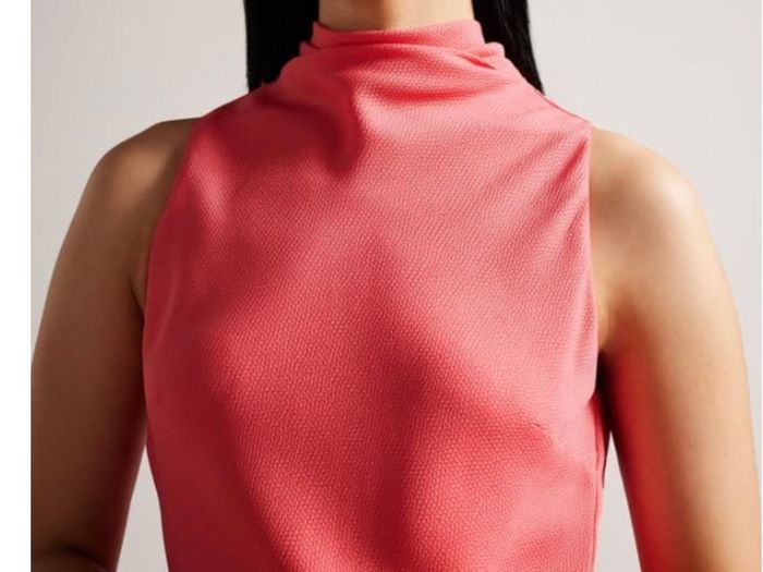 ted baker dress
