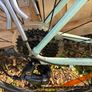 Trek Domane AL 2 Womens, 52cm, 2019 model in Sprintmint Image 5