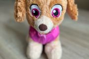 Build- a-bear Skye