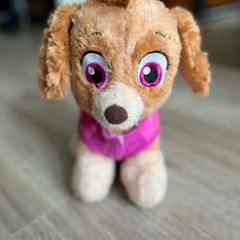 Build- a-bear Skye