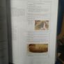 Giant Book of the Cat Image 10