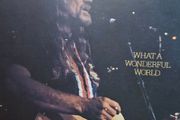 Willie Nelson - What A Wonderful World.