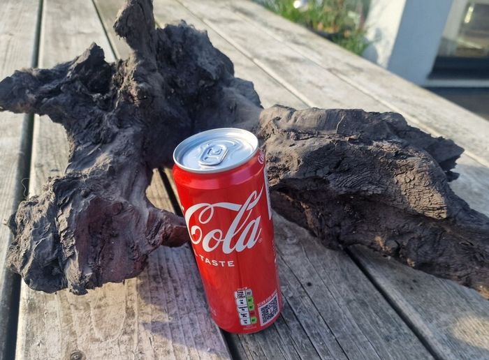 bog oak